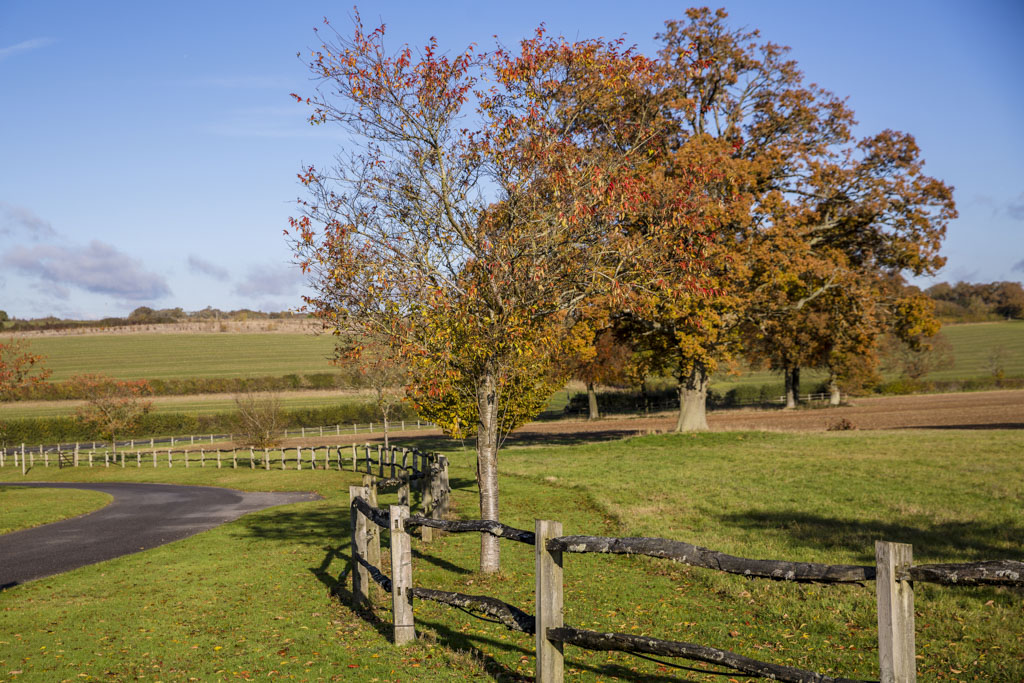 Fields near Oakley, Basingstoke