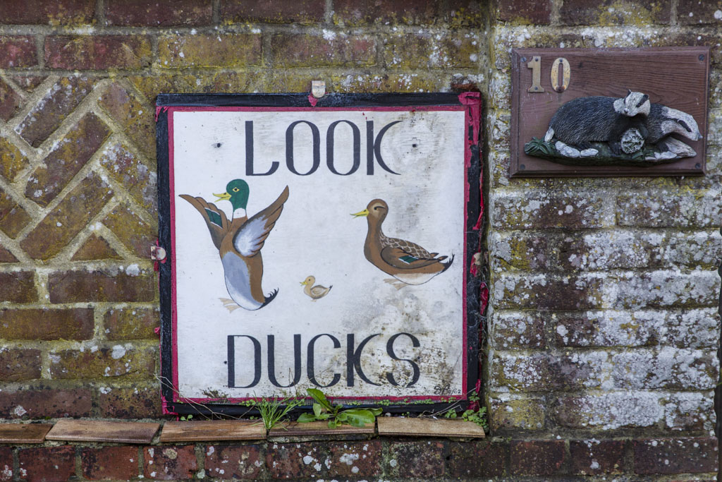 Duck sign in Oakley, Basingstoke