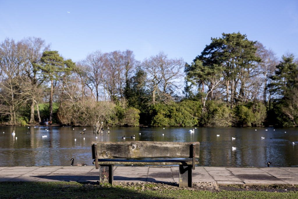 Bench by river in Wokingham