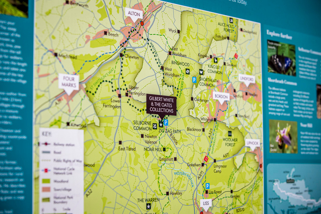 Alton area tourist Map