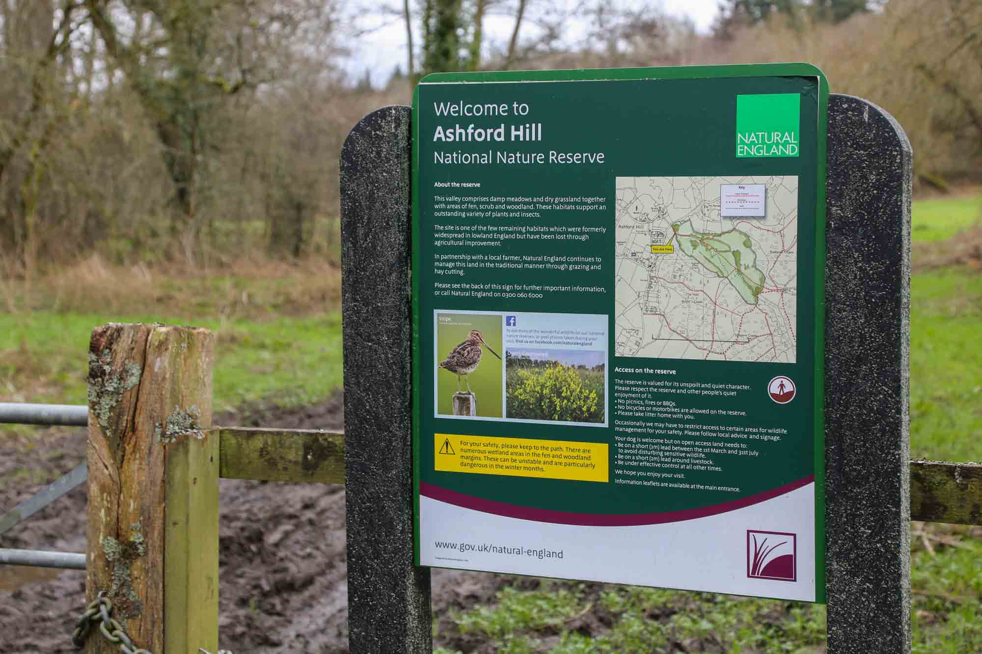 Nature Reserve at Ashford Hill