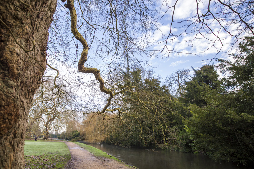 River side walk in Romsey